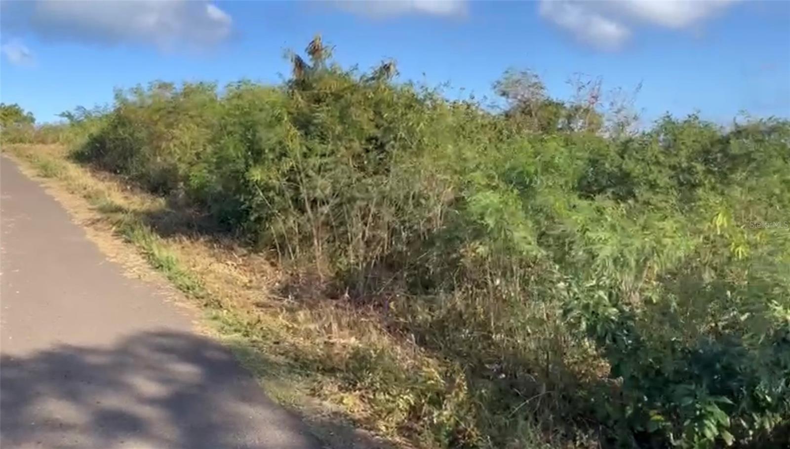 VIEQUES — foto 6