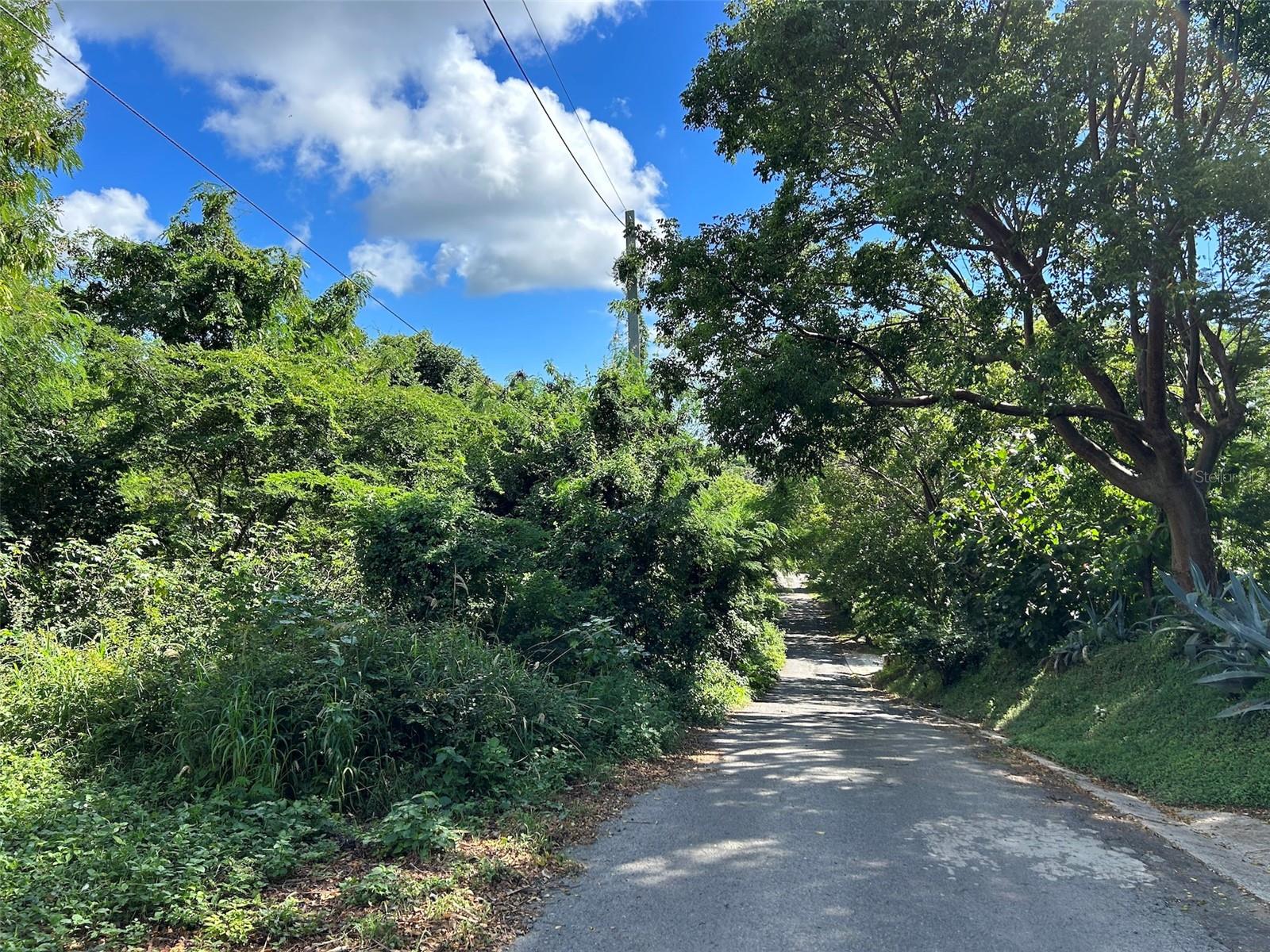 VIEQUES — foto 2