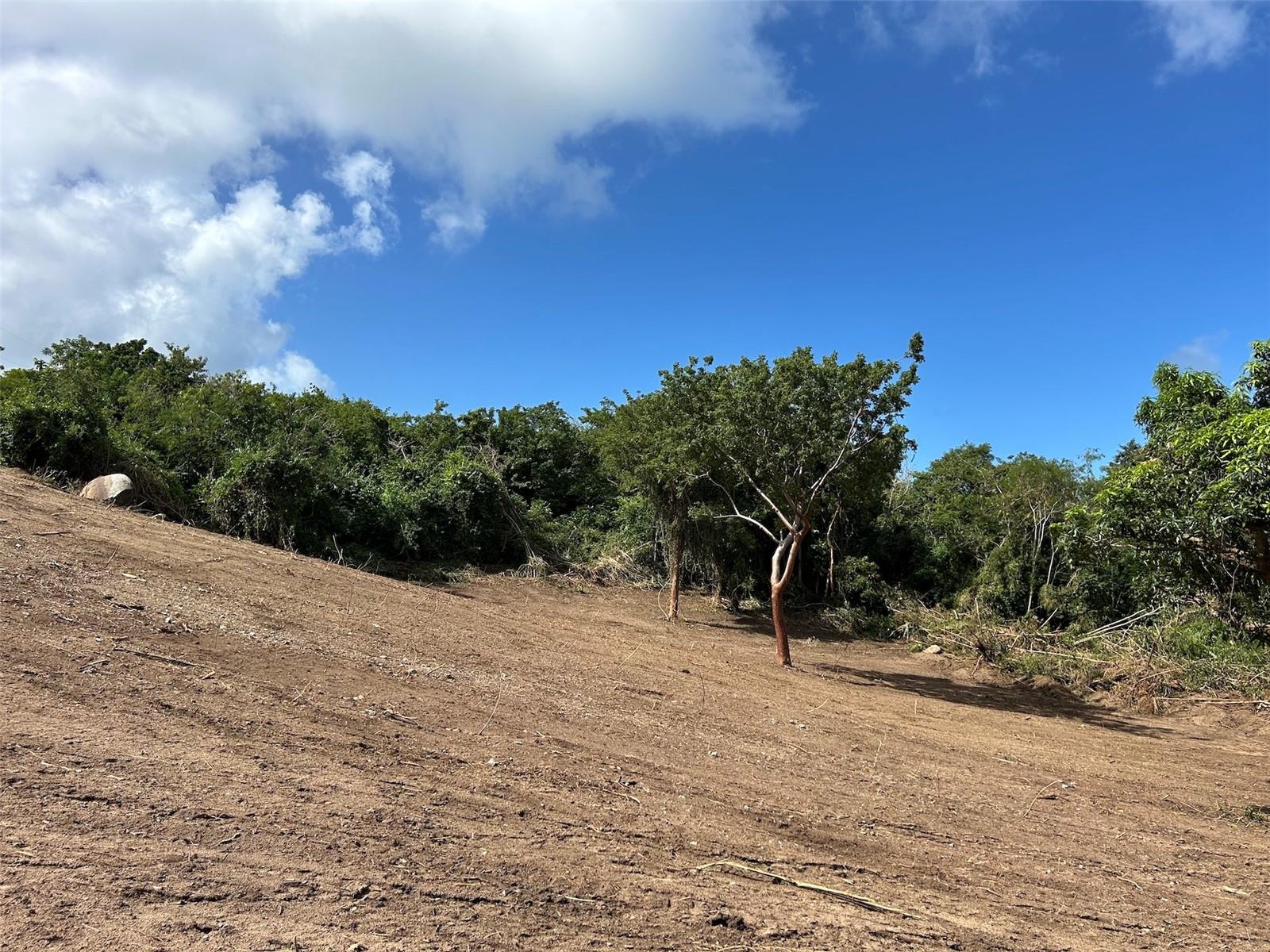 VIEQUES — foto 11