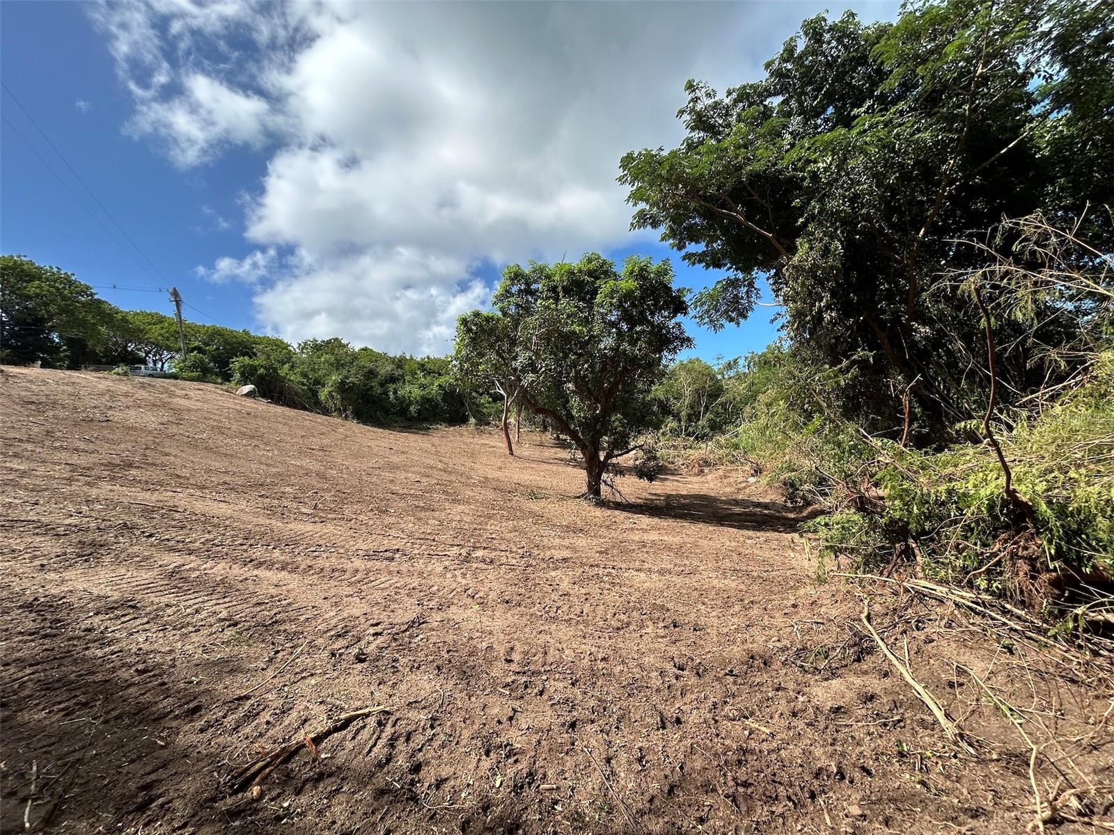 VIEQUES — foto 12