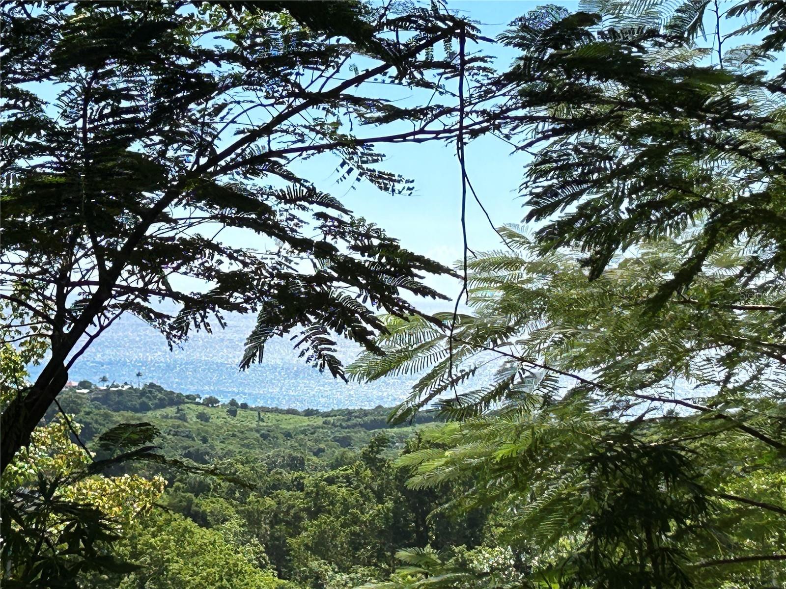 VIEQUES — foto 3