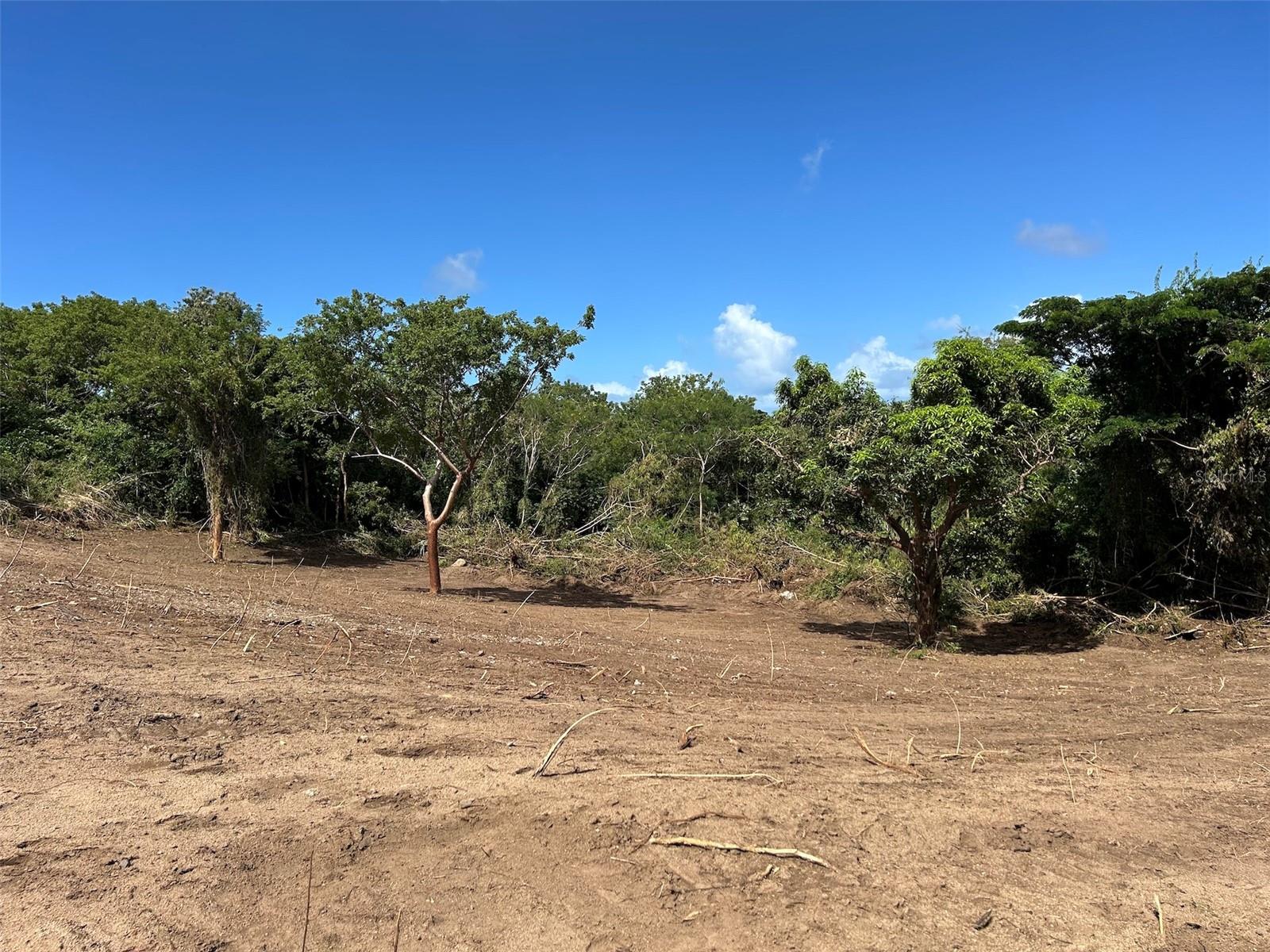 VIEQUES — foto 10