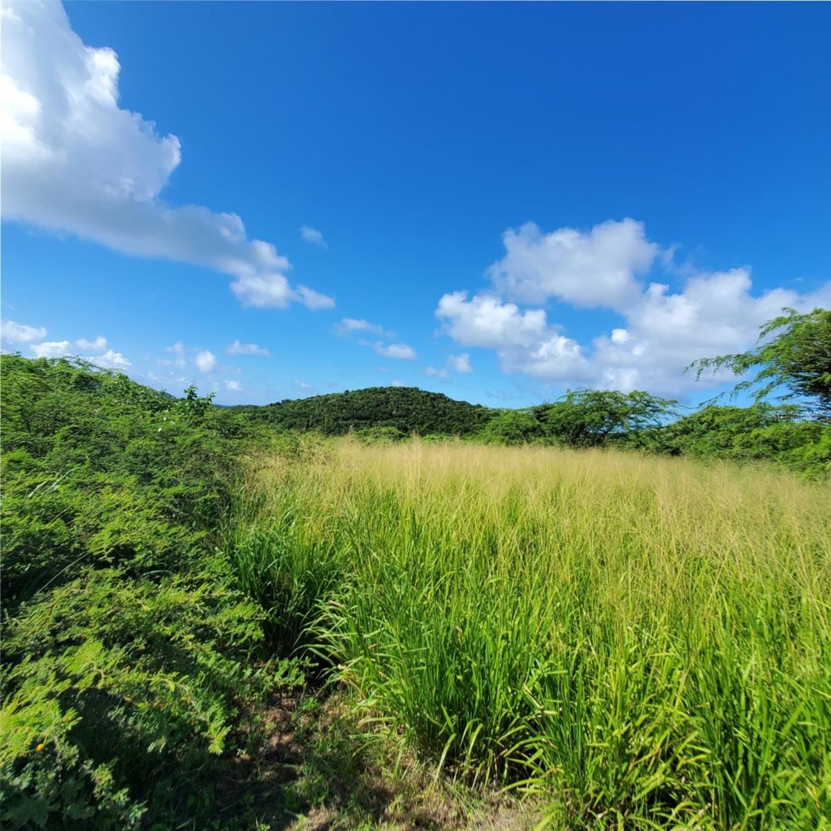 CULEBRA — foto 11