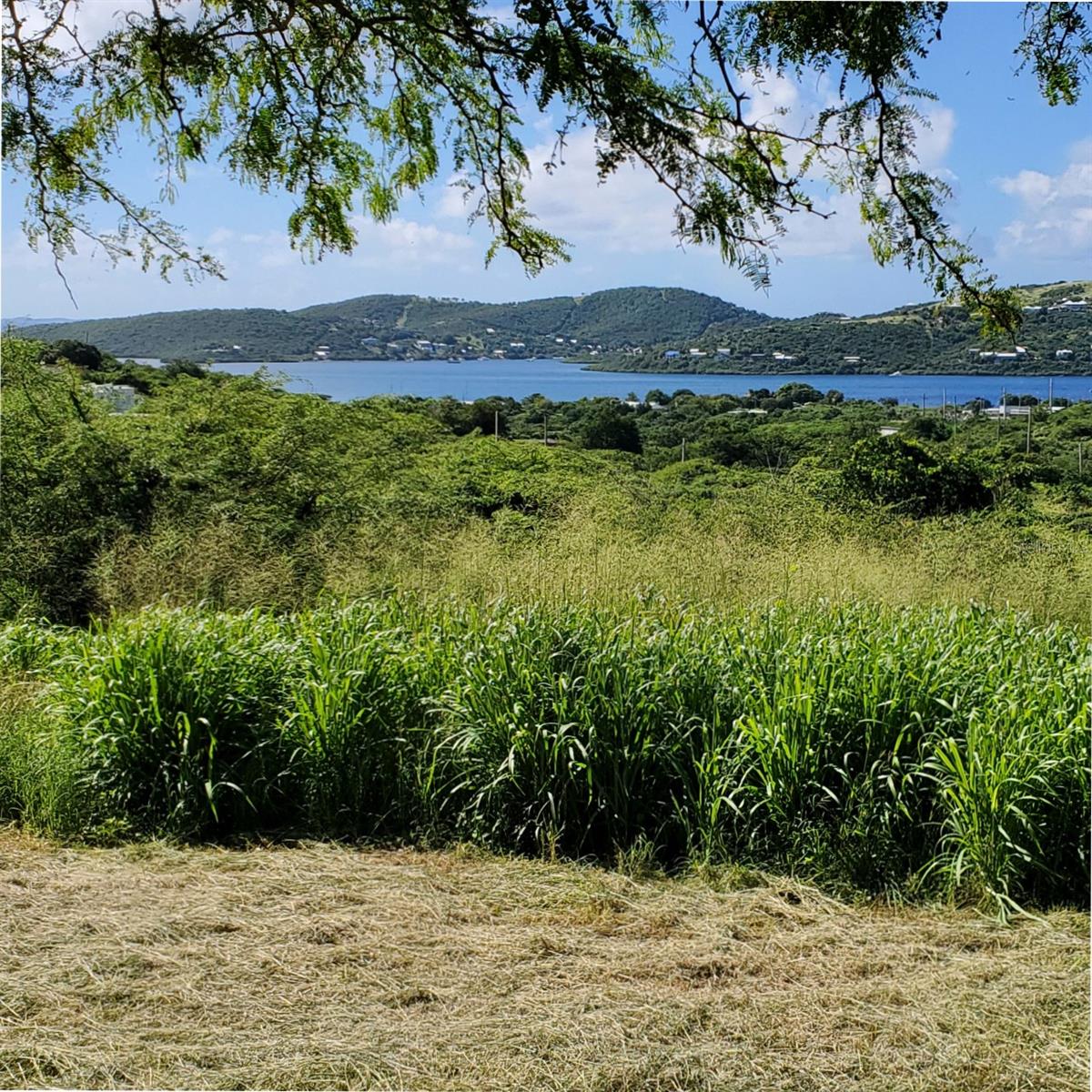 CULEBRA — foto 3