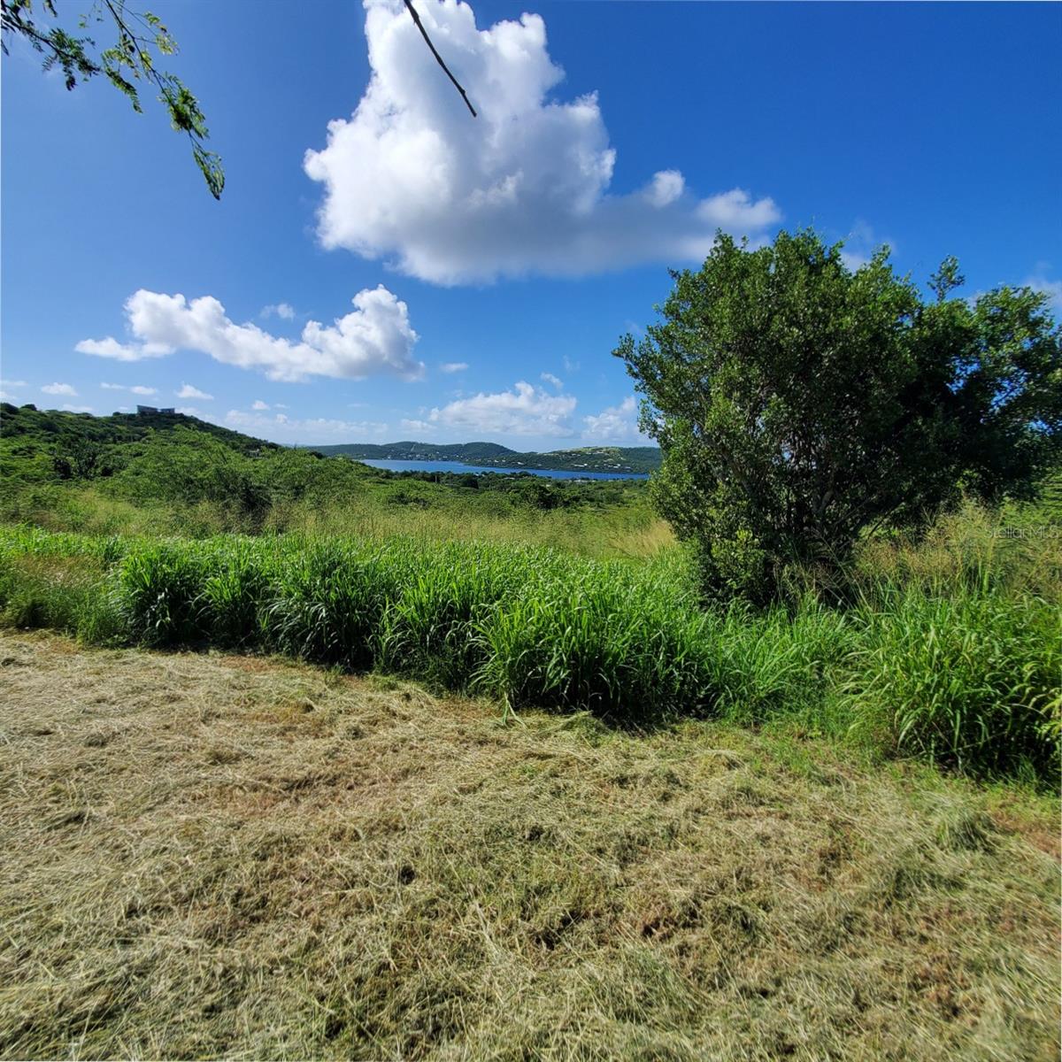 CULEBRA — foto 4