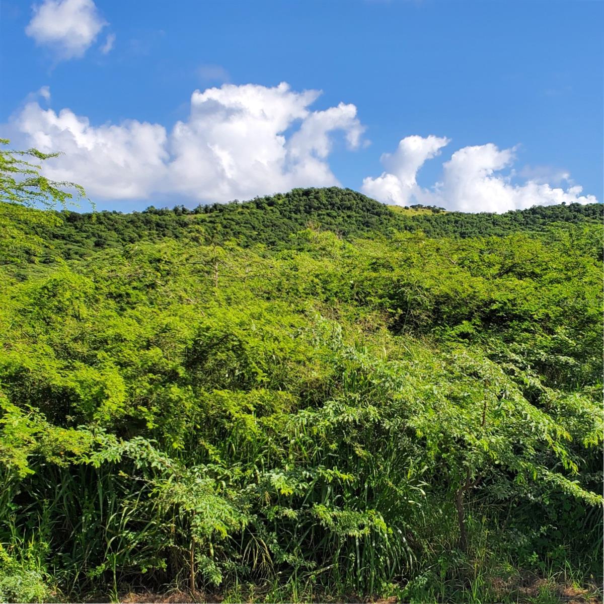 CULEBRA — foto 10