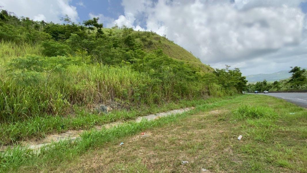 GURABO — foto 3