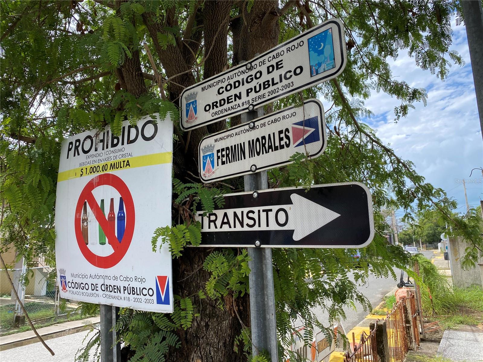 CABO ROJO — foto 6