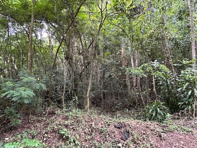 VEGA ALTA — foto 2