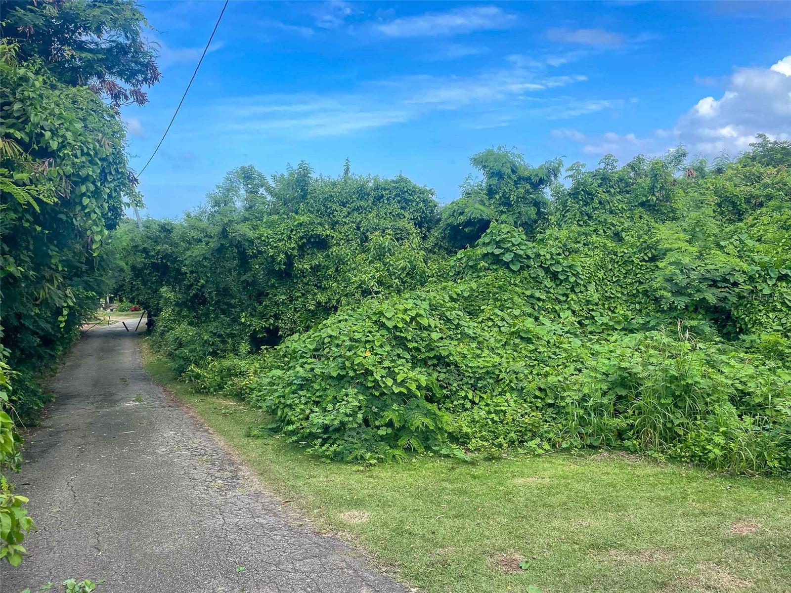 VIEQUES — foto 4