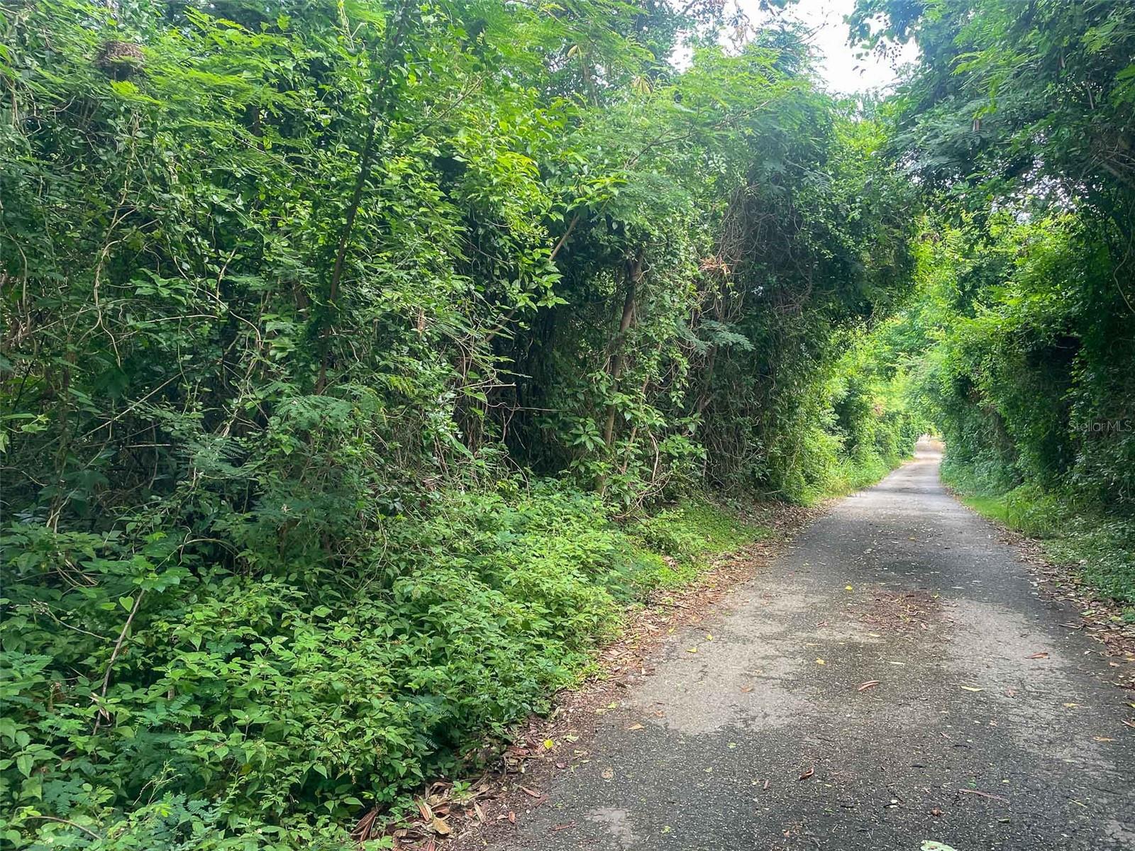 VIEQUES — foto 5