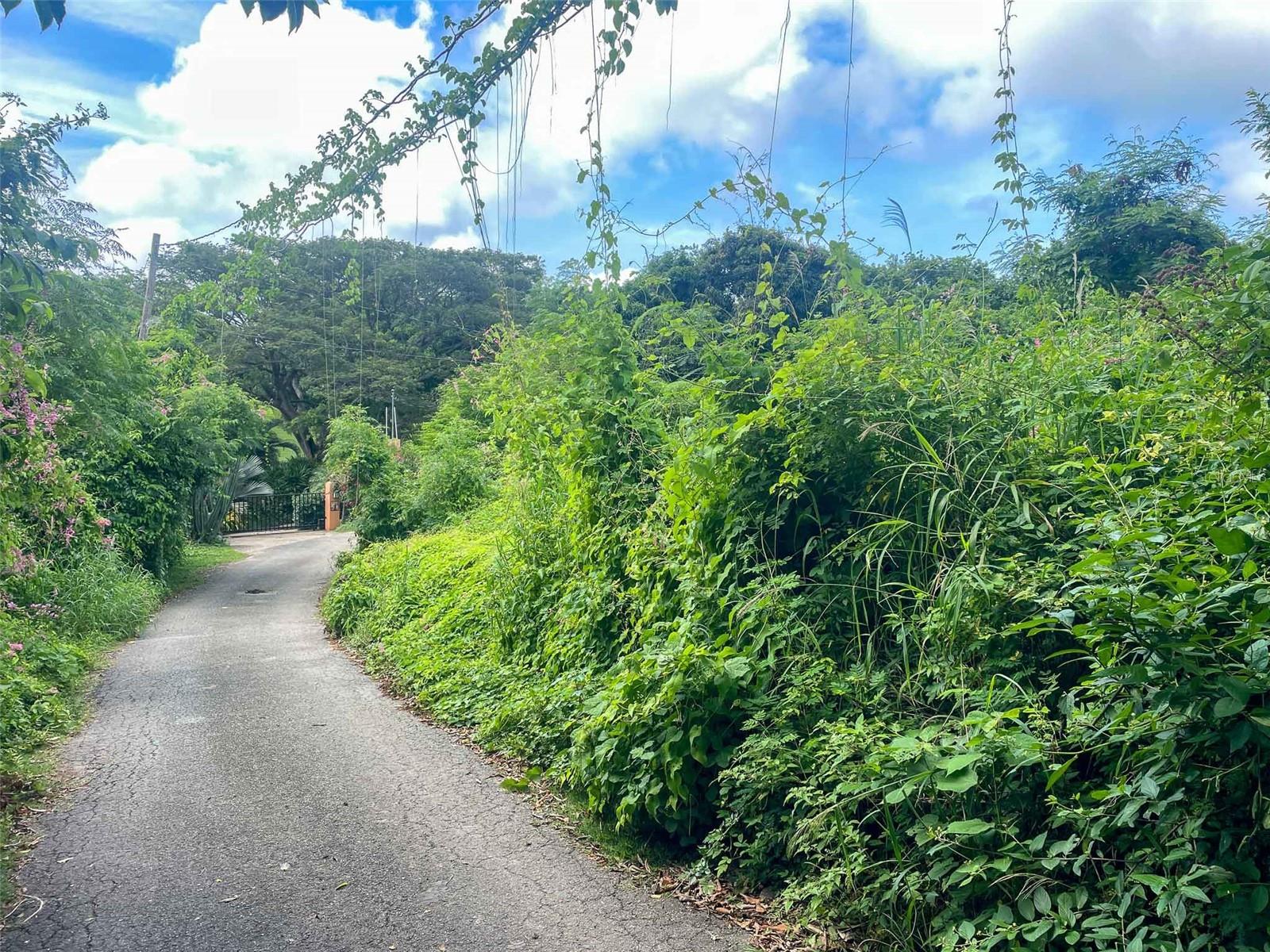 VIEQUES — foto 6