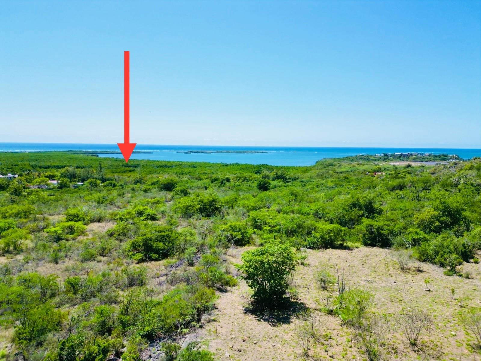 GUANICA