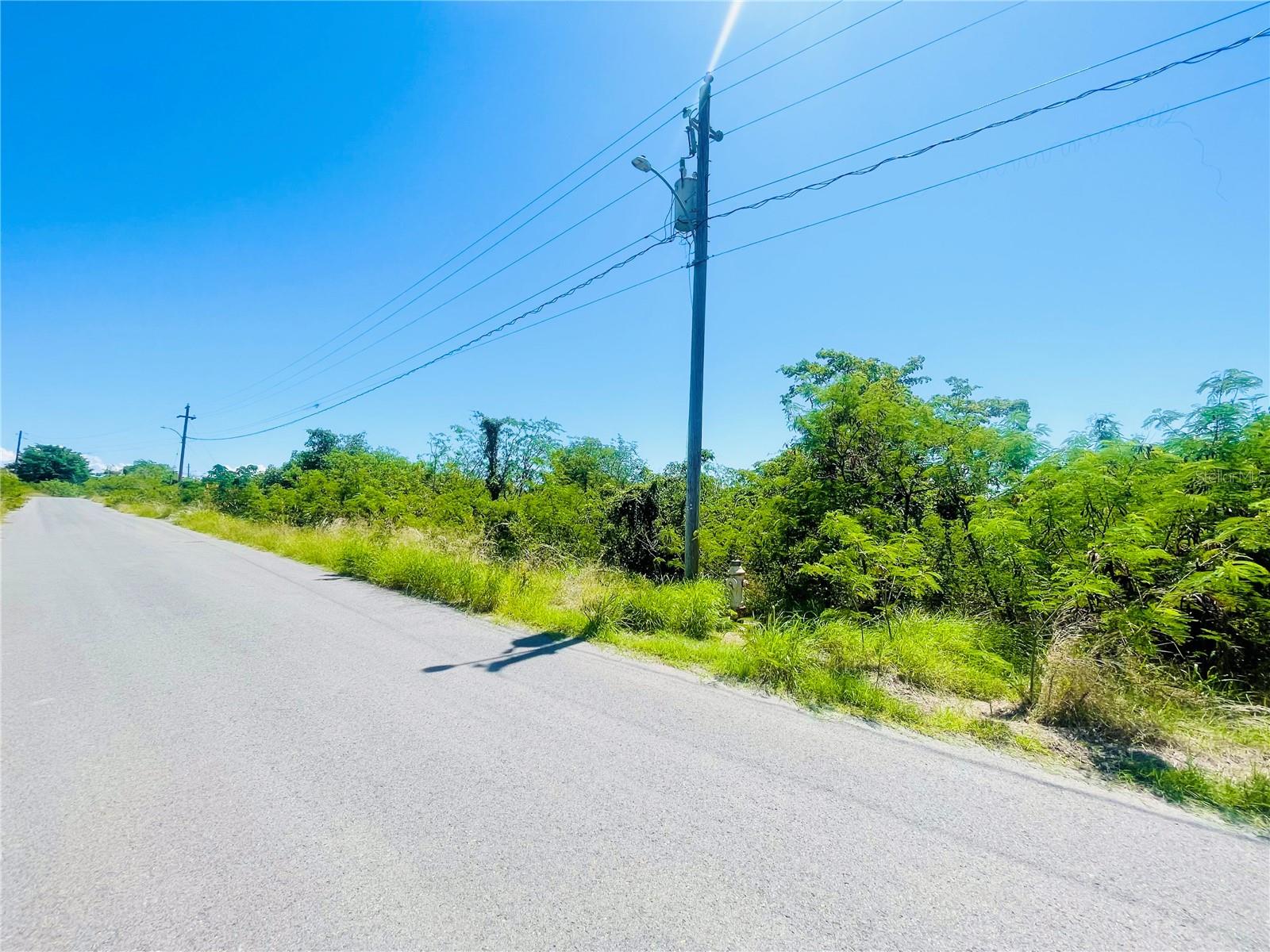 GUANICA — foto 11