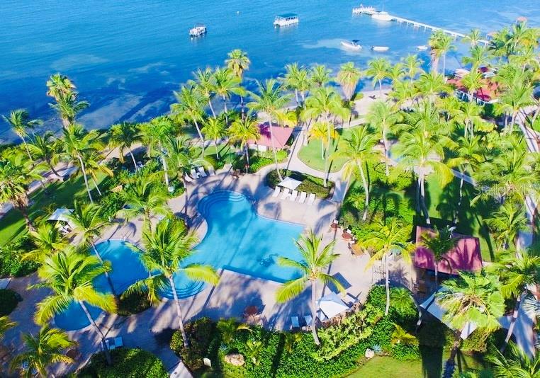 GUANICA — foto 12