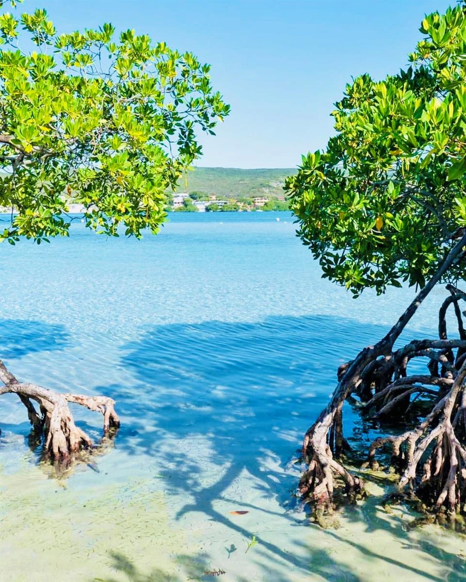 GUANICA — foto 3