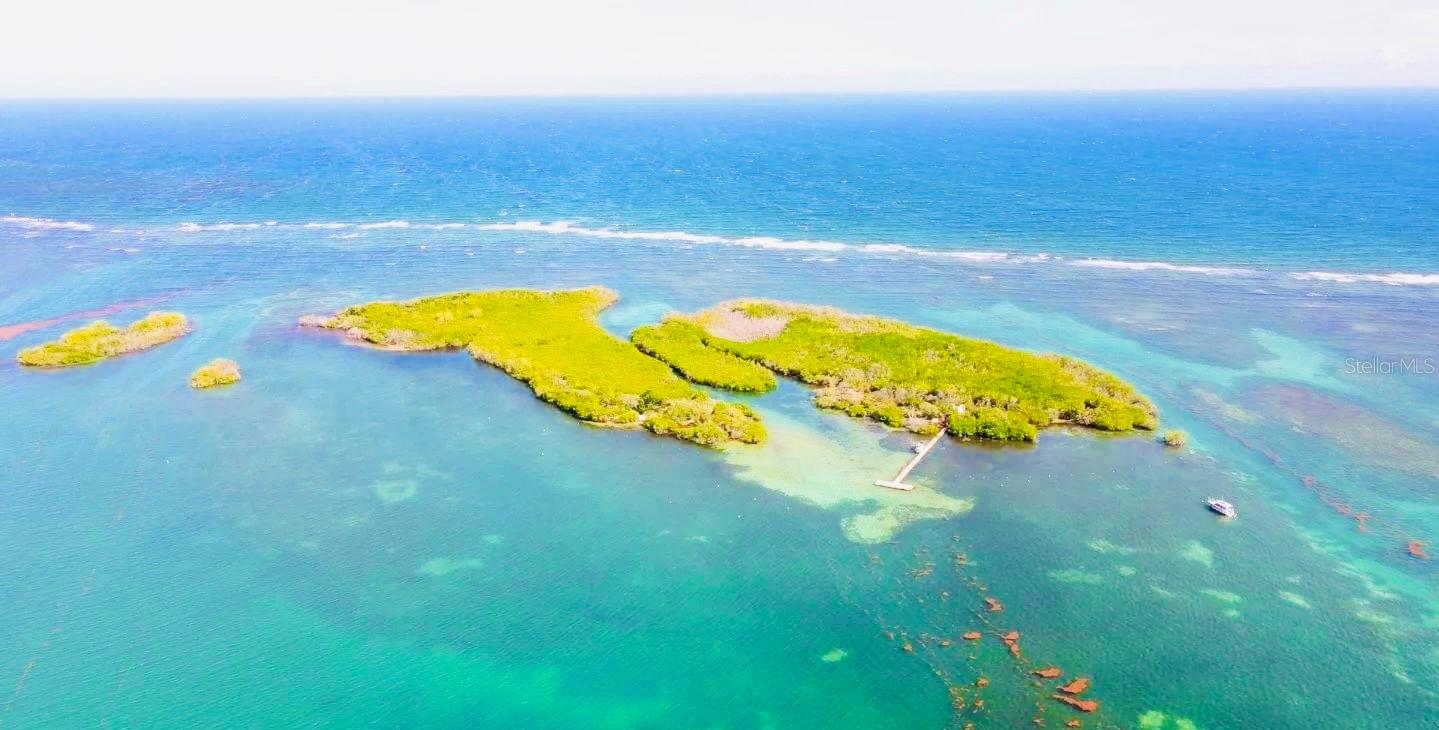 GUANICA — foto 4