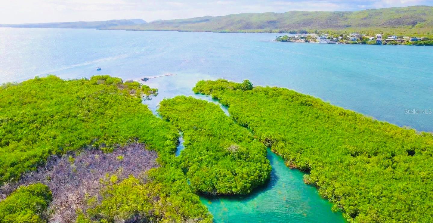 GUANICA — foto 5
