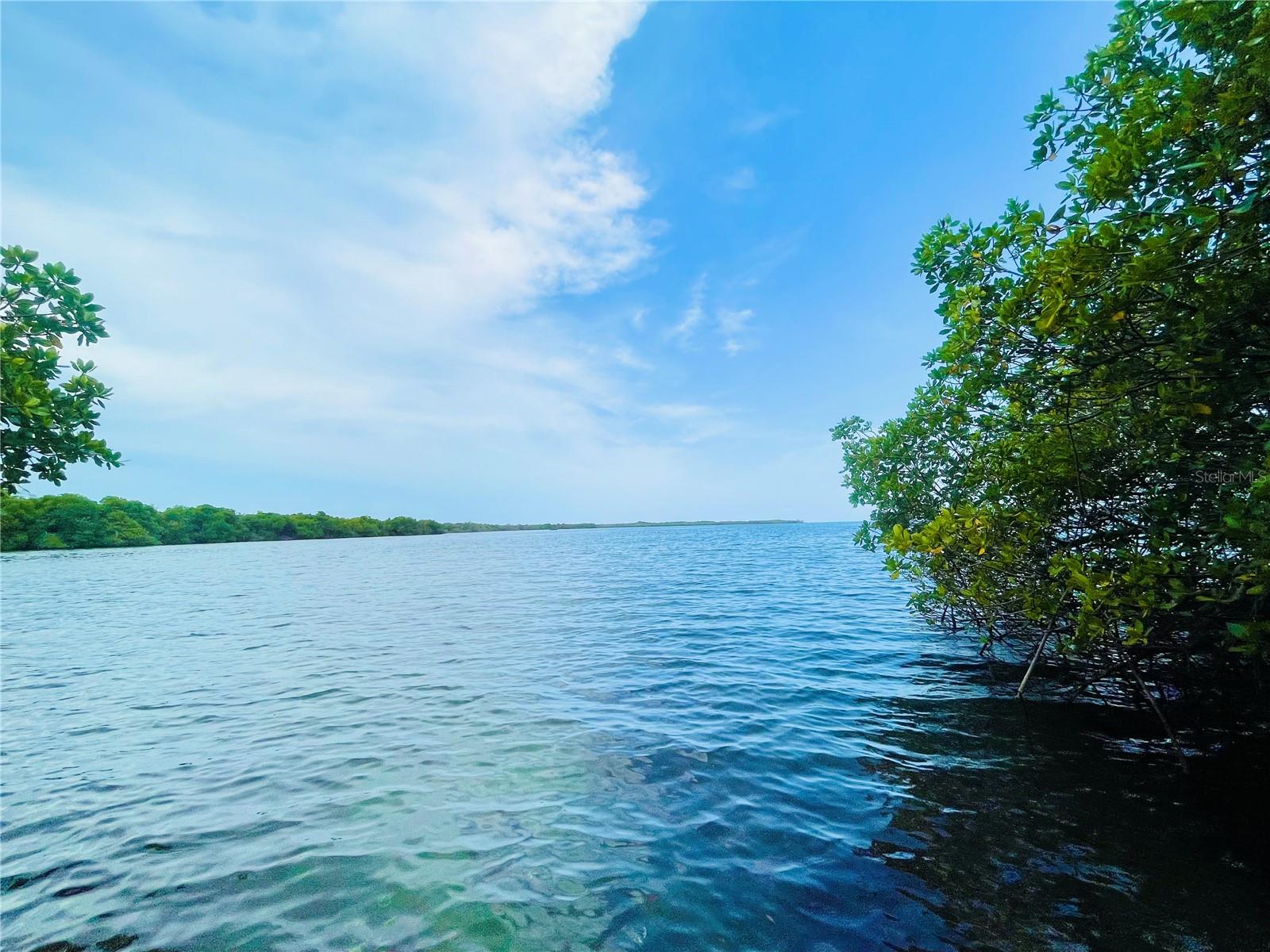 GUANICA — foto 6