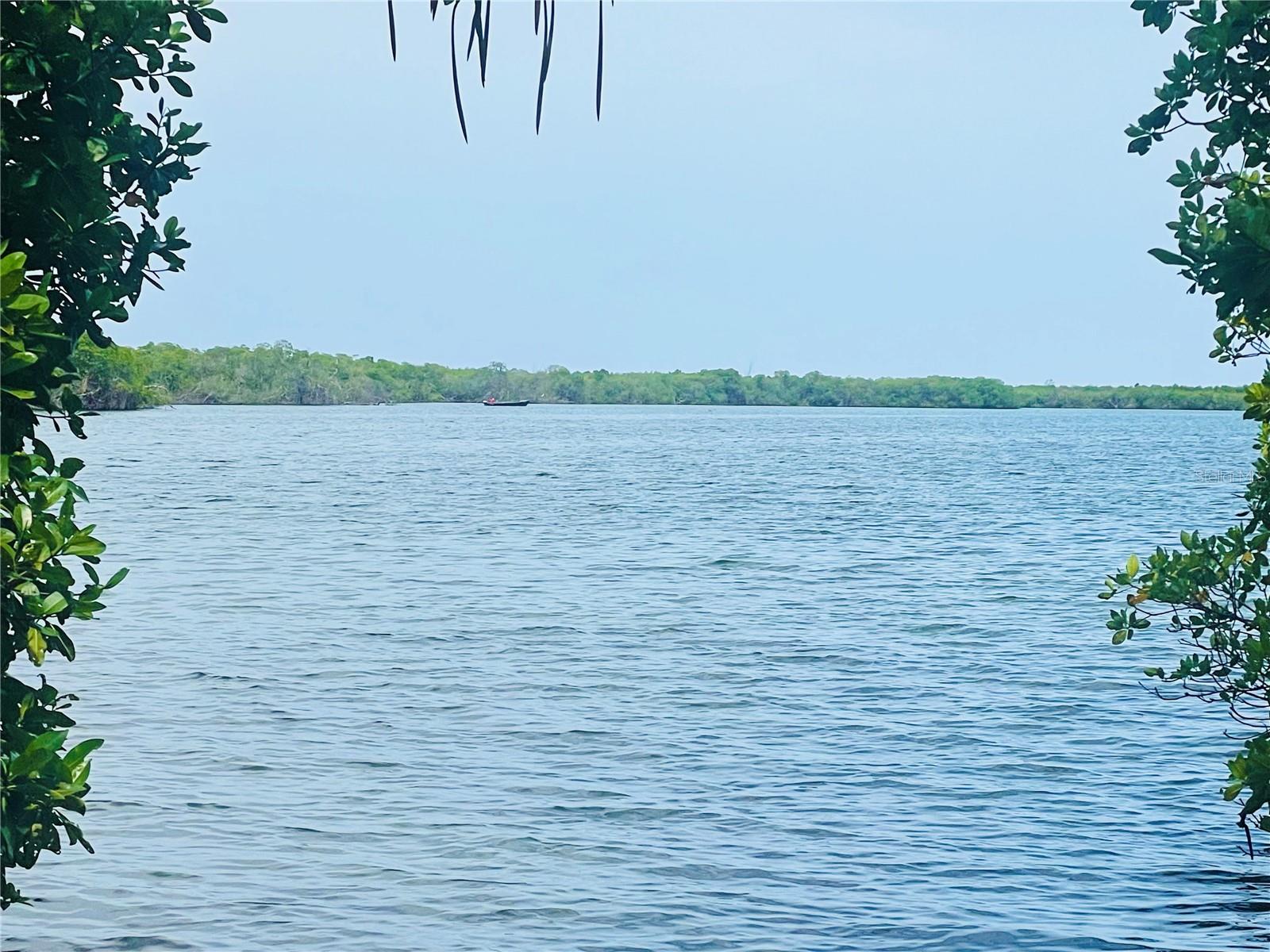 GUANICA — foto 8