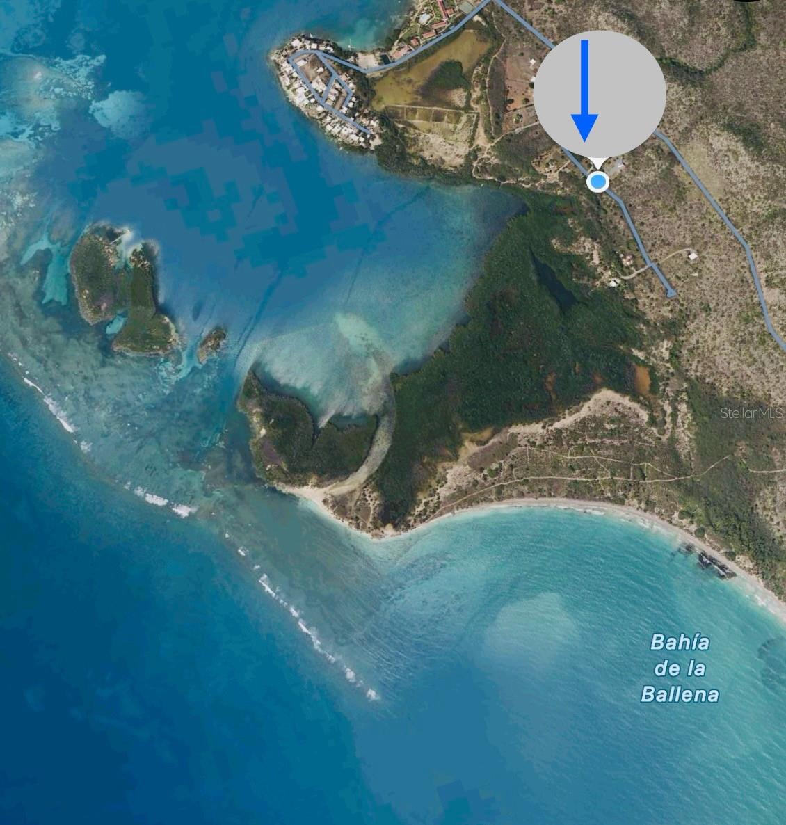 GUANICA — foto 10