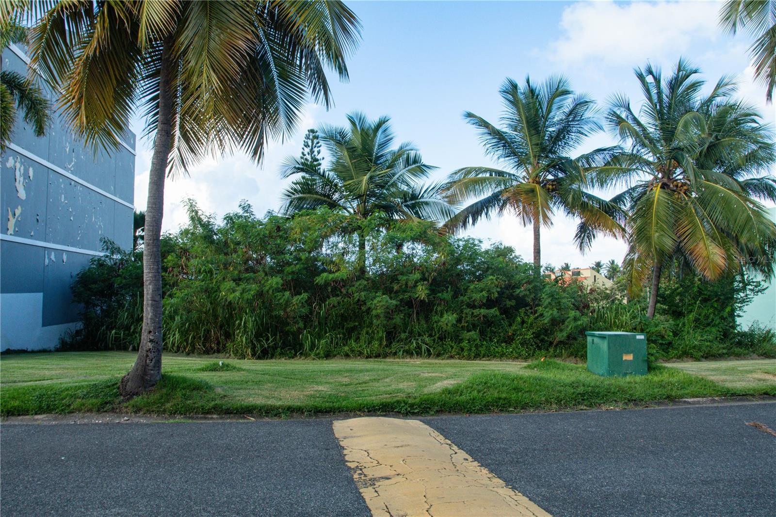 HUMACAO — foto 11
