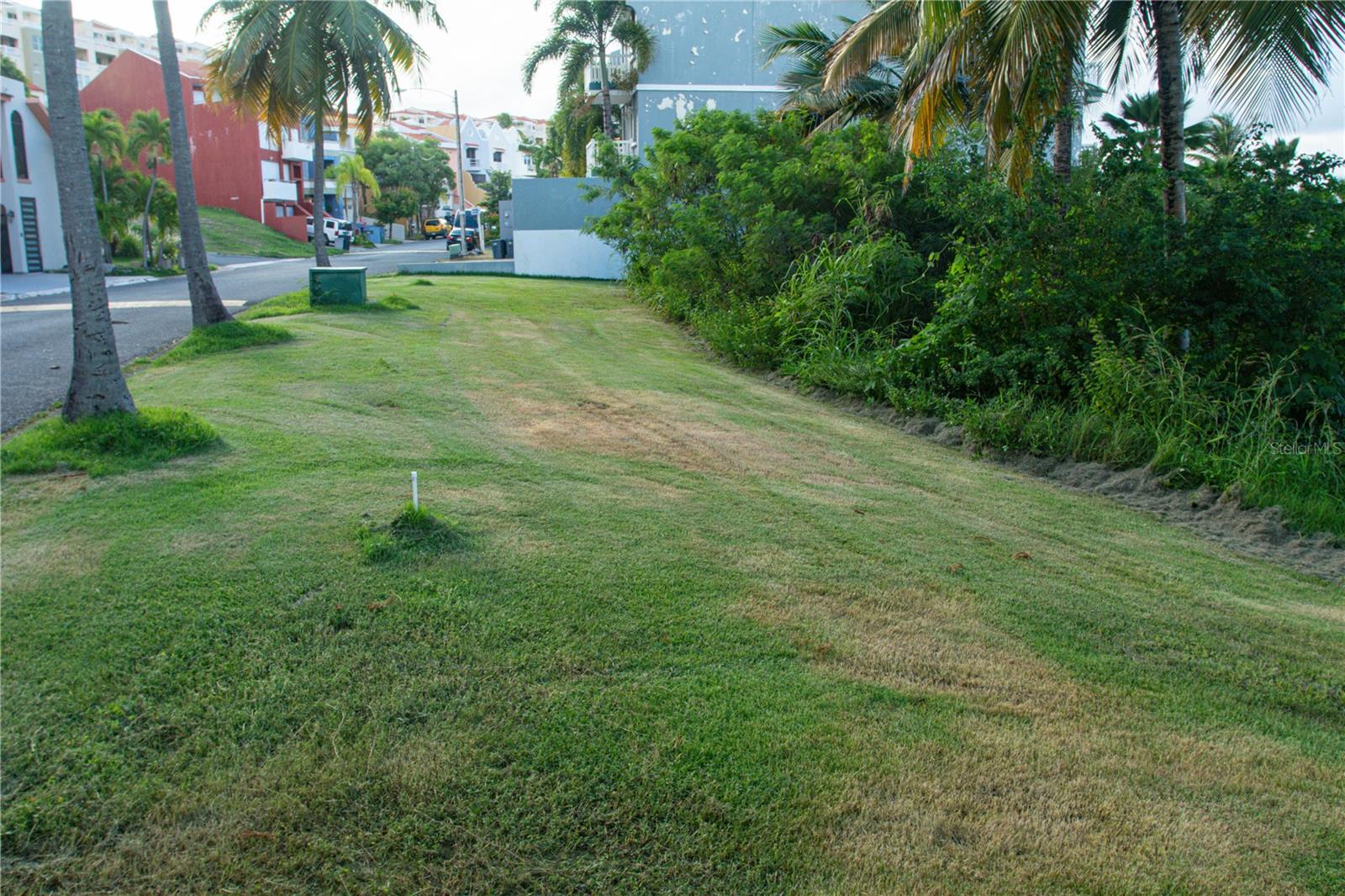 HUMACAO — foto 12