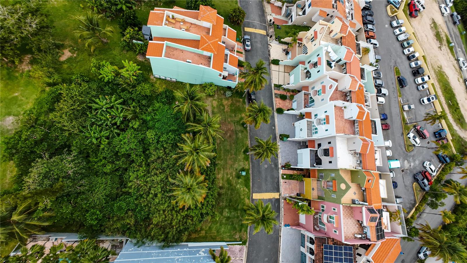 HUMACAO — foto 4