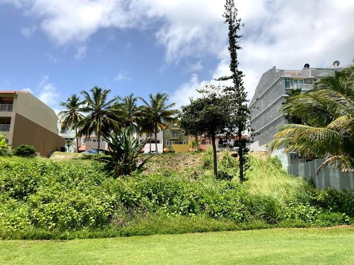 HUMACAO — foto 6