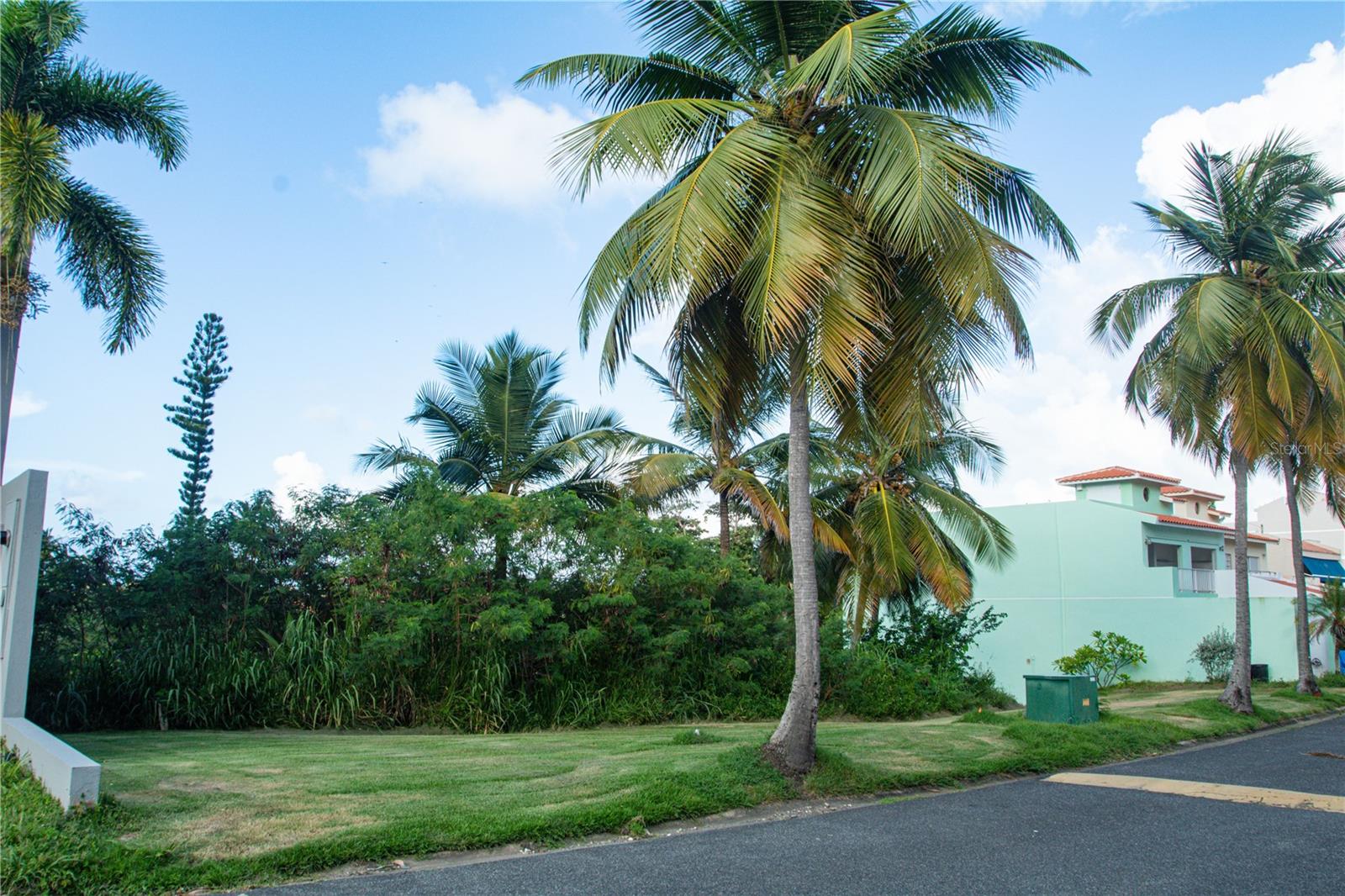 HUMACAO — foto 10