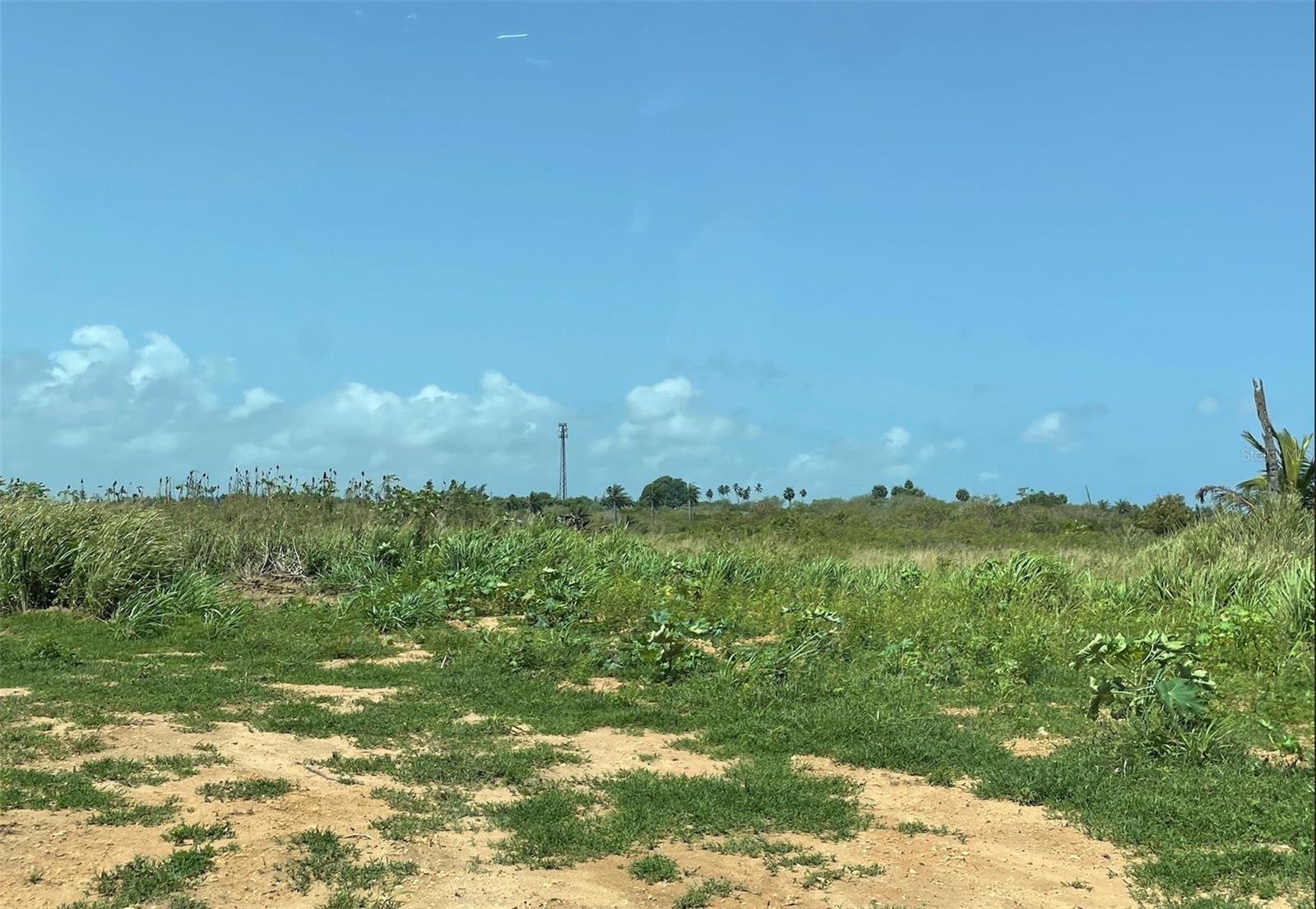 ISABELA — foto 4