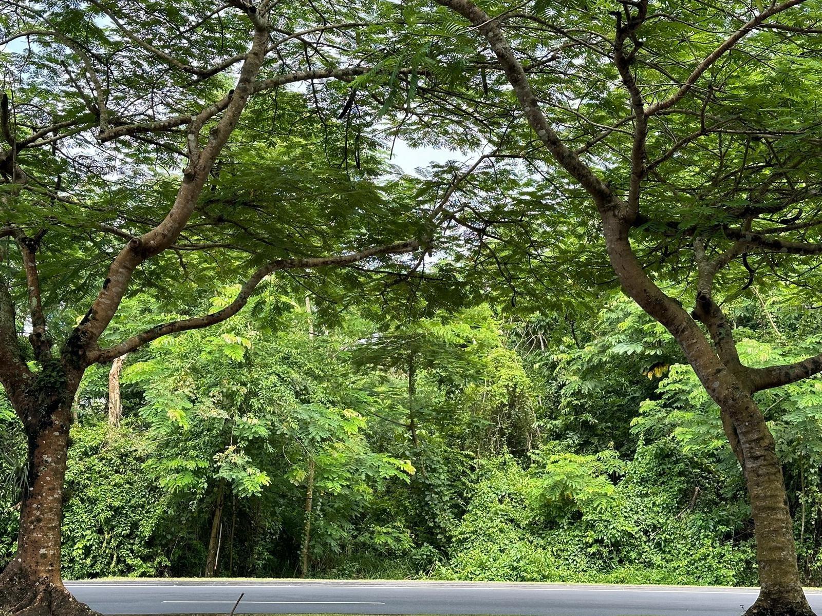 GUAYNABO — foto 6
