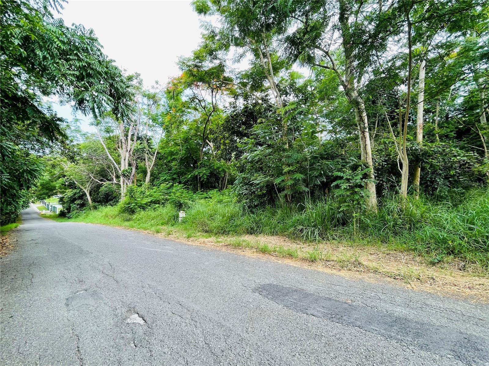 CABO ROJO — foto 2