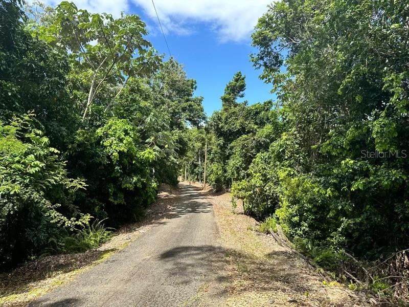UTUADO