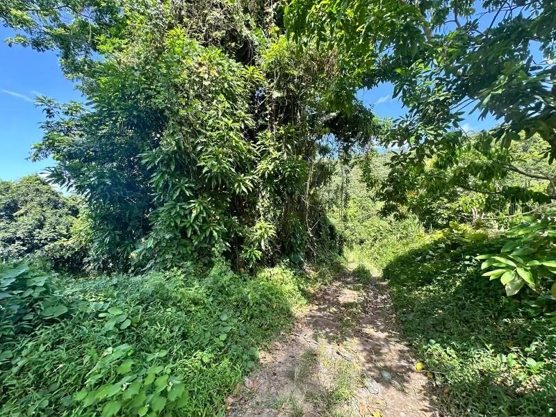 UTUADO — foto 2