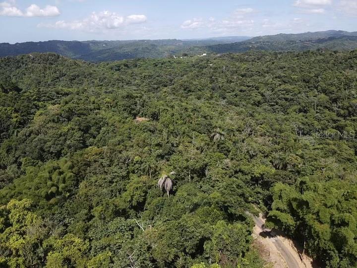 UTUADO — foto 3