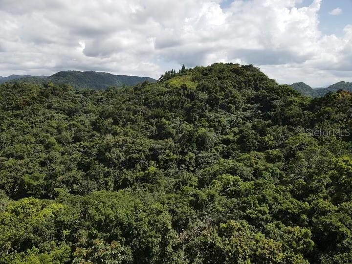 UTUADO — foto 5
