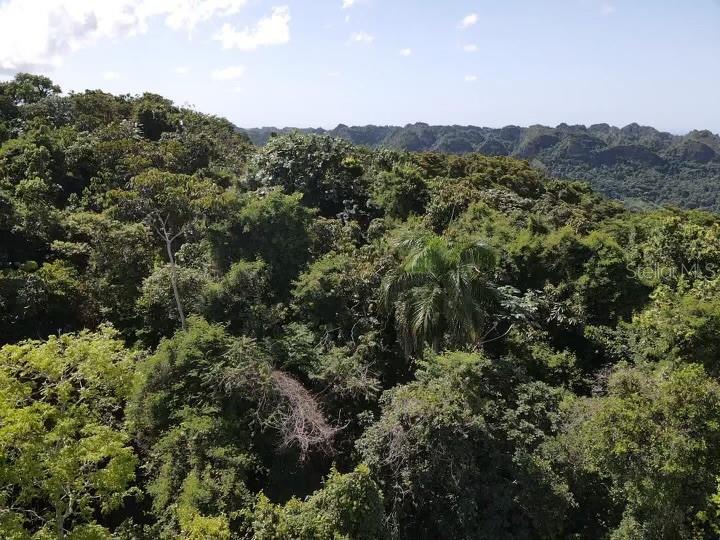 UTUADO — foto 6