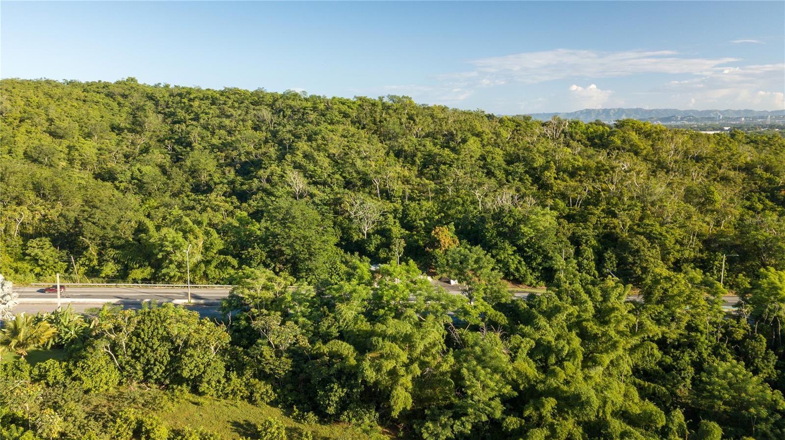 CABO ROJO — foto 6