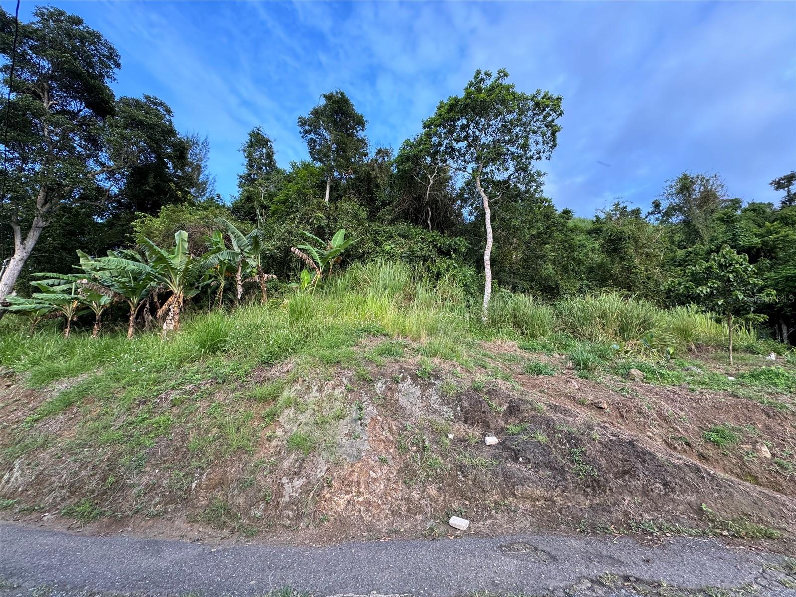 CIDRA — foto 2