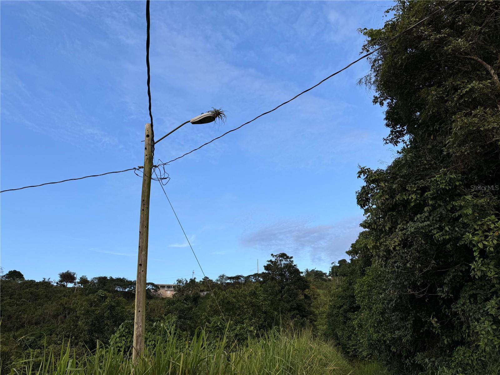 CIDRA — foto 11
