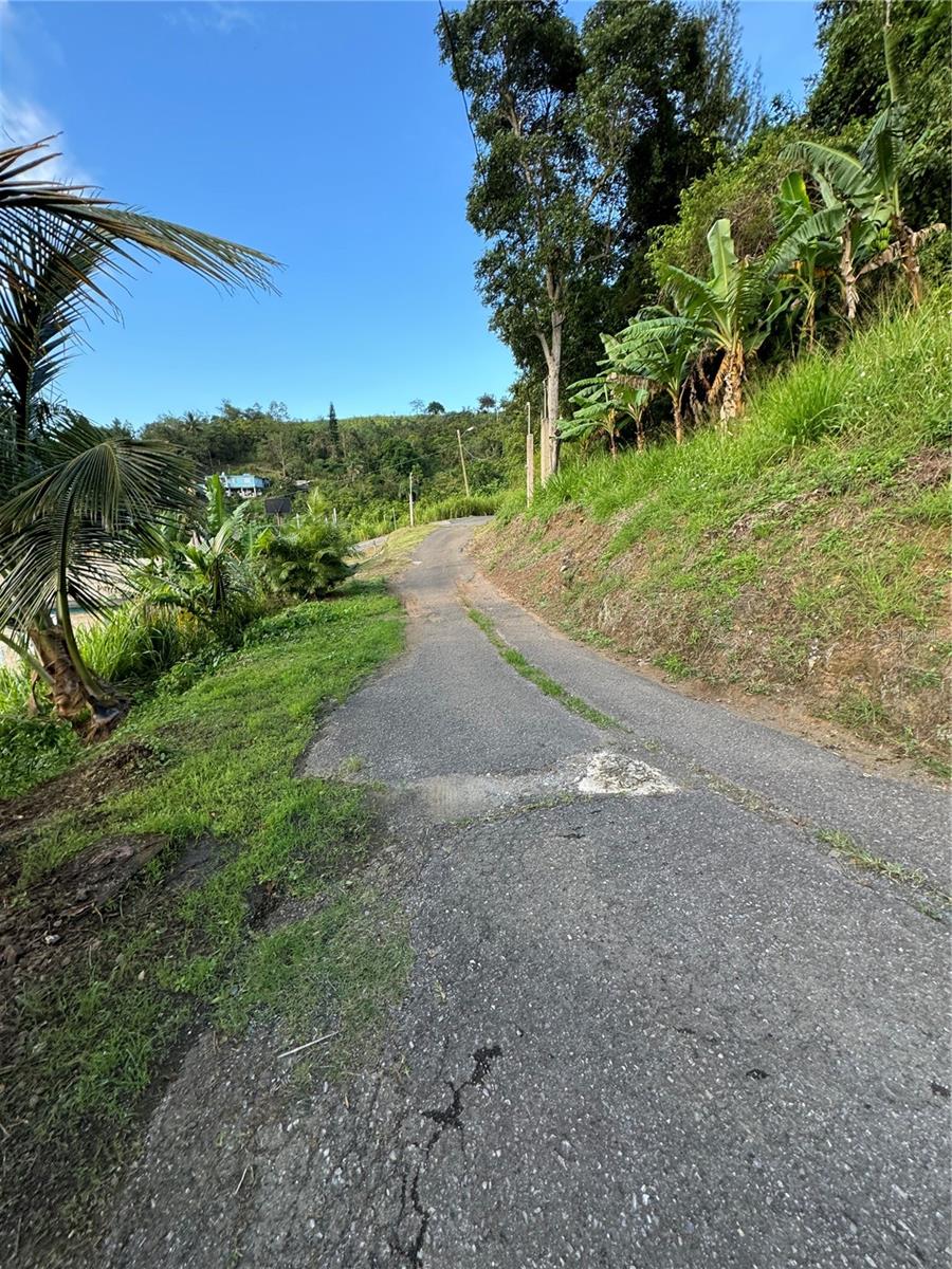 CIDRA — foto 5