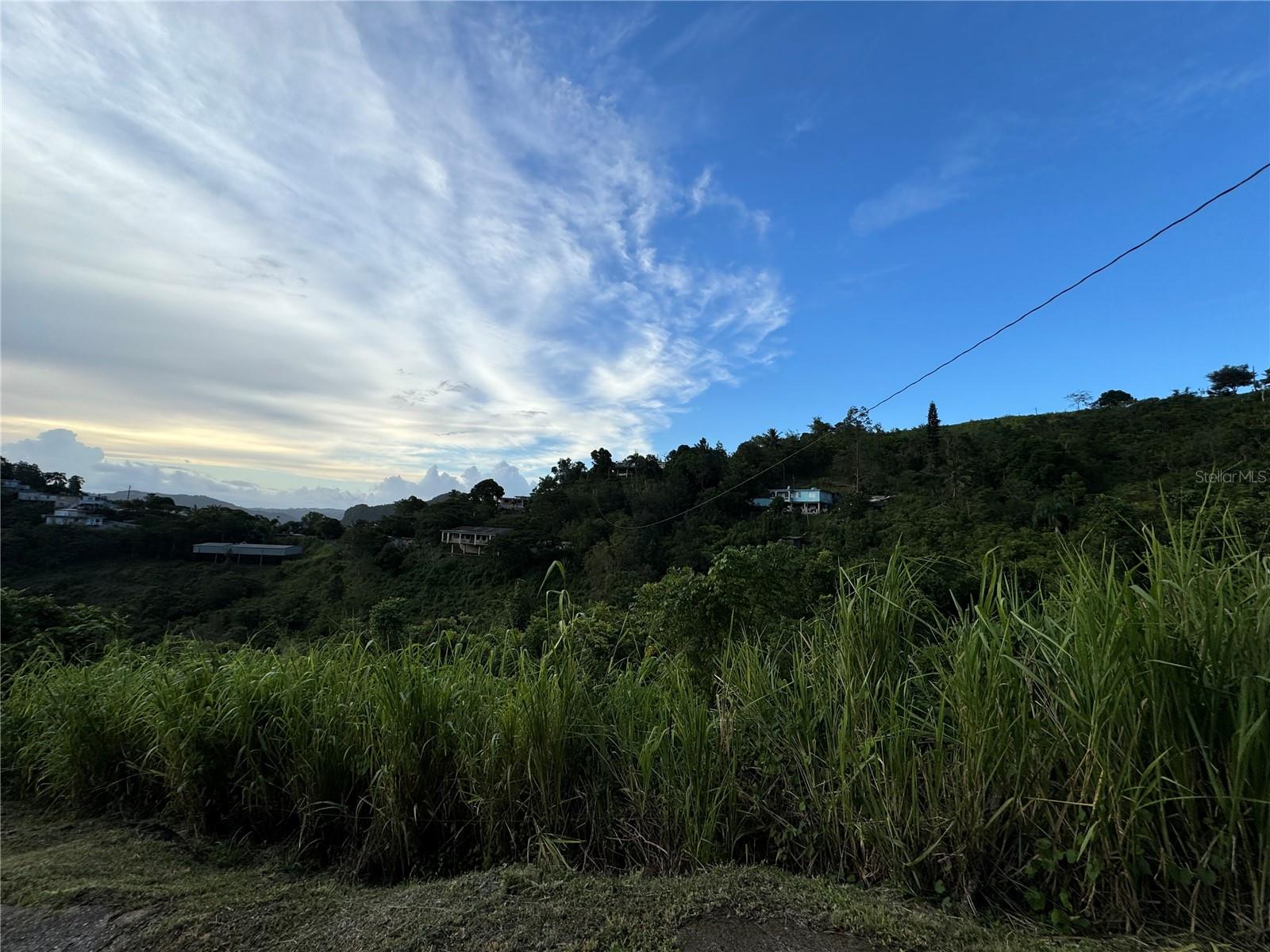 CIDRA — foto 8