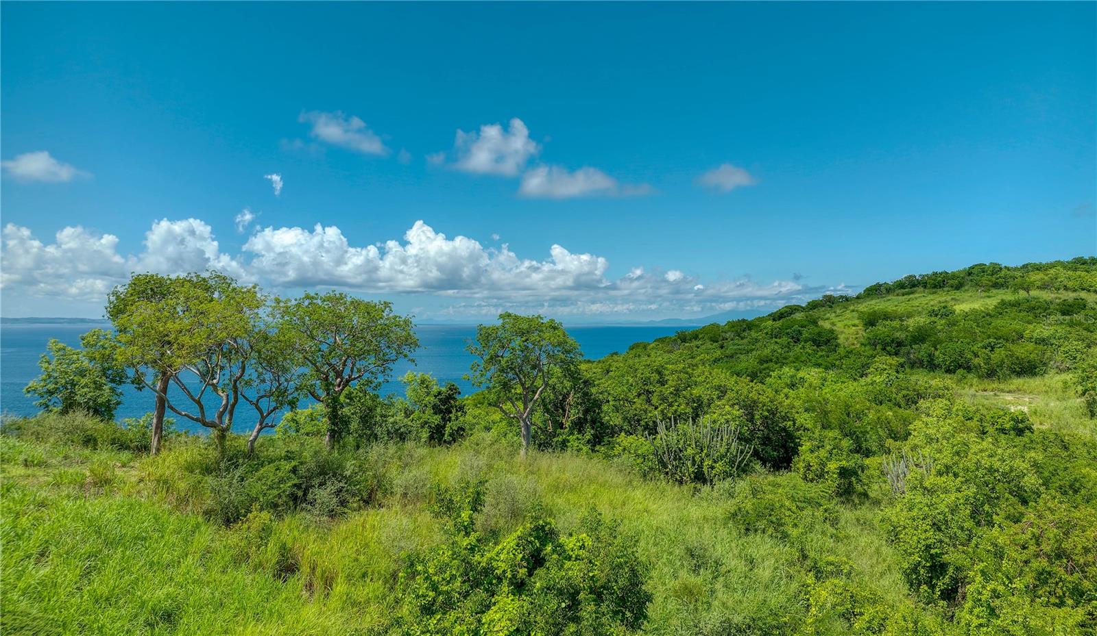 CULEBRA — foto 10