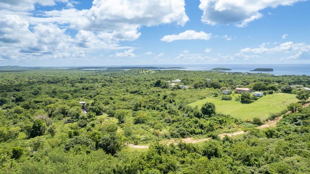 VIEQUES — foto 8