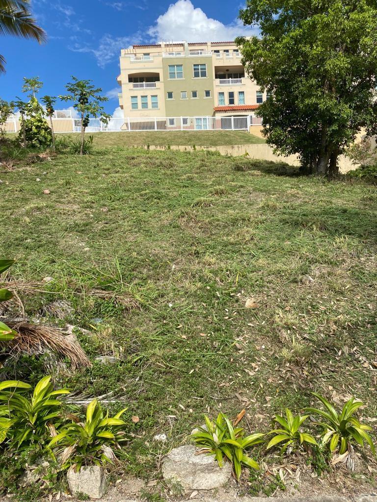HUMACAO