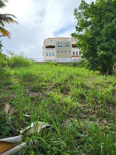 HUMACAO — foto 4