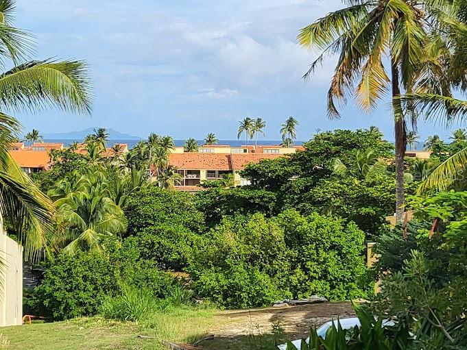 HUMACAO — foto 5