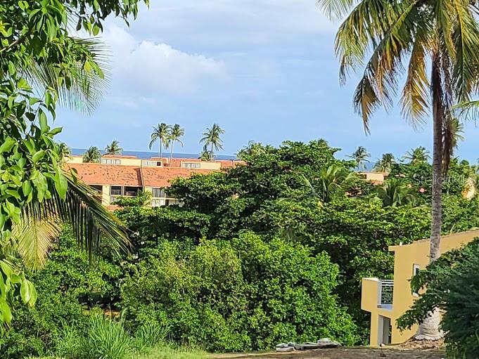 HUMACAO — foto 6
