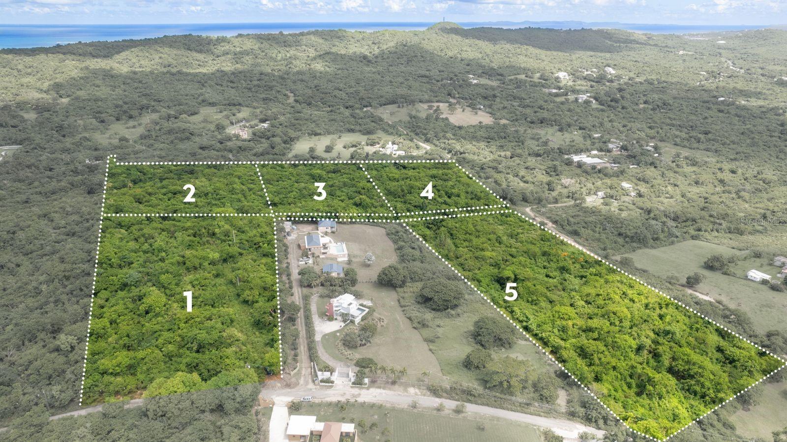 VIEQUES